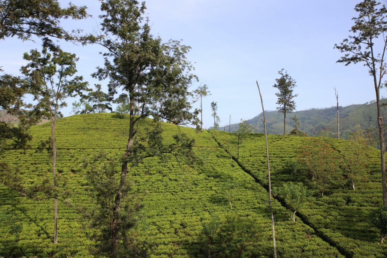 Hotel The Tea View Guest Ella Esterno foto